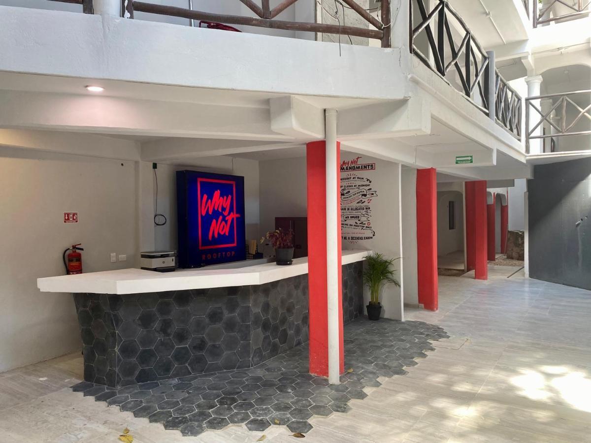 Why Not Rooftop Party Hostel Playa del Carmen Zewnętrze zdjęcie